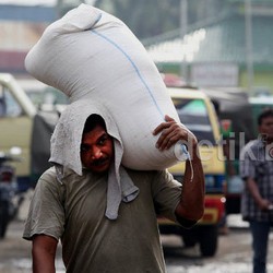 Karawang dan Cirebon Banjir, Pasokan Beras di Pasar Induk Cipinang Turun