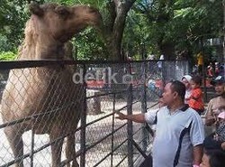 Dukung Risma Lapor KPK, Menhut Harap KBS Jadi Ikon Surabaya