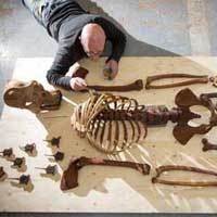 Membuat Patung Orangutan dari Barang Bekas