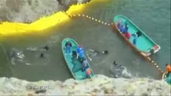 Ratusan Lumba-lumba di Teluk Taiji Dibantai