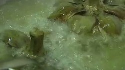 Menjamu Sahabat, Paus Fransiskus Sajikan Makanan Halal