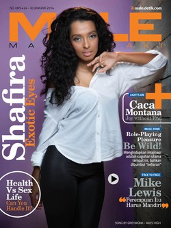 A Short Tale of Shafira