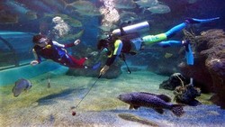 10 Hal Gila yang Harus Dilakukan Traveler Sebelum Mati (2)