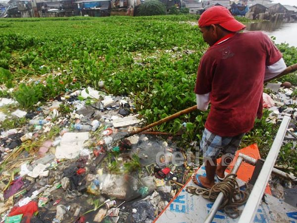 Eceng Gondok di Waduk Pluit Dibersihkan