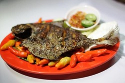 Sempat Dibuat Bangkrut Teman Sendiri, Pria Ini Bisa Raup Omzet Rp 200 Juta