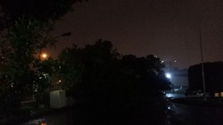 Diguyur Hujan Deras, Sebuah Pohon di Halaman Istana Negara Tumbang