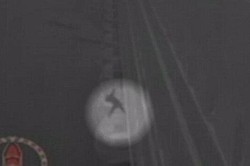 Turis Jatuh dari Kapal Pesiar, Tertangkap Kamera