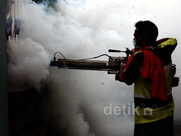 Fogging Cegah Demam Berdarah