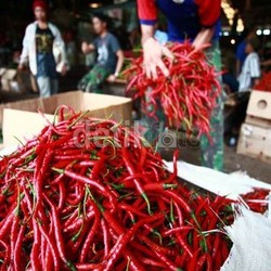 Di Jakarta Harga Cabai Naik Karena Banjir, di Jawa Tengah Malah Turun
