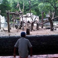 Pengamanan KBS era Risma, Pasang CCTV dan Kerjasama dengan Polda Jatim