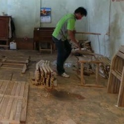 Cerita Lahirnya Aturan Main Soal Kayu Legal di Indonesia