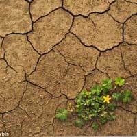 Simbol Zaman Batu Diduga Sebabkan Curah Hujan Tinggi