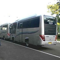  Damri Bisa Batal Jadi Angkutan Resmi Bandara Halim, Kenapa?