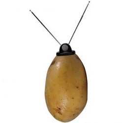 Kentang Bisa Jadi Baterai yang Tahan 3 Tahun