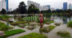 Apa yang Terjadi Bila Makam Terendam Banjir Dalam Waktu Lama?