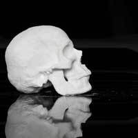 Seniman Belanda Buat Patung Tengkorak Dari Kokain