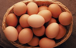 Jangan Rebus Telur dan Panggang Roti dengan Oven Microwave (1)