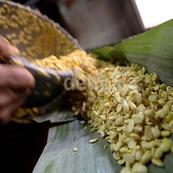 Impor Langsung dari AS, Tukang Tahu-Tempe Dapat Kedelai Harga Miring