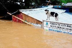 Hujan Lebat Seharian, Manado Mulai Tergenang Kembali