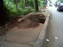 Trotoar di Jl TB Simatupang ini Rusak Berbulan-bulan karena Galian Kabel