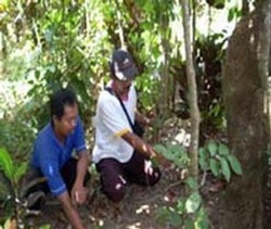 Ini Solusi dari Keluarga dan Sejarawan untuk Makam Tan Malaka