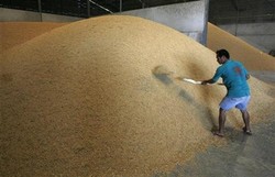 Selama 2013, RI Impor Beras Vietnam 156.000 Ton