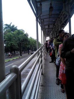 Antrean di TransJ Begitu Panjang, Bagaimana Bisa Menikmati Angkutan Umum