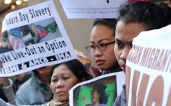 Warga Sambut Meriah Bebasnya Hiu Bersaudara dari Hukuman Mati di Malaysia