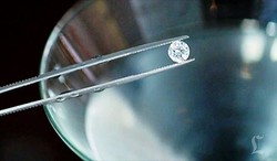 Mau Coba Martini Diracik dengan Berlian Seharga Rp 122 Juta?