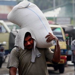 Ini Pemicu Importir Nekat Selundupkan Beras Impor