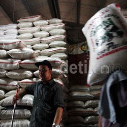 Ada Beras Ilegal Vietnam, Chatib: Nggak Gampang Bedakan Beras Khusus dan Umum