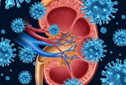 Menahan Pipis Saat Macet Bisa Picu Batu Ginjal? Ini Kata Dokter