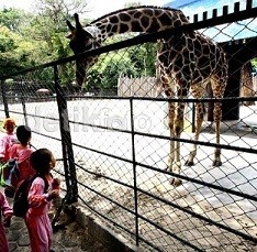 Risma: KBS Tidak akan Profit Oriented