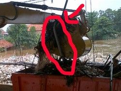 Keruk Sampah di Rawajati, Eskavator Angkut Ular Sanca di Tumpukan Sampah