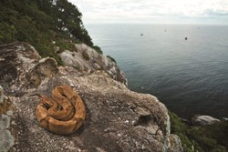 Hati-hati! Ini 6 Pulau Paling Berbahaya di Dunia