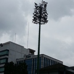 Go Green! BTS pun Menyerupai Pohon