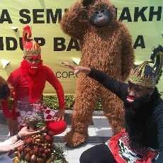Hanoman dan Orang Utan Doakan Satwa KBS Sejahtera Dikelola Pemkot