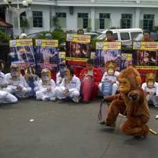 Aktivis Pecinta Satwa Turun ke Jalan Peringati Hari Primata