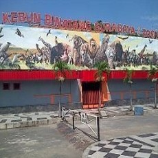 Take Over KBS Diharap Bisa Lebih Optimalkan Pengelolaan Satwa