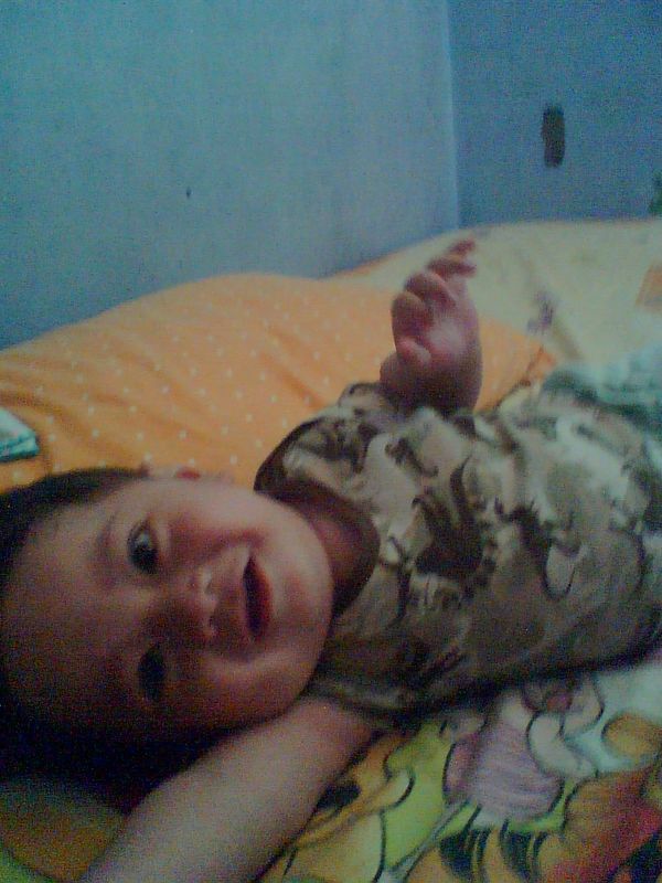 Muhammad Habibi, 2,4 Tahun, Lelaki