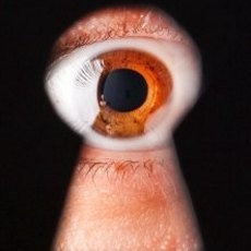 Pria Australia Diadili karena Mengintip Istri Sedang Mandi