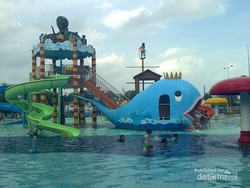 Wisata Bahari Lamongan: Satu Tempat, Sejuta Hiburan