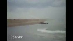 Hebat! Dengan Tangan Kosong, Warga Selamatkan Bayi Paus Terdampar