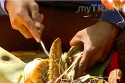 Semakin Tinggi Gaharu Hidup, Semakin Mahal Harganya