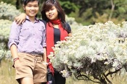 Tergoda Pesona Padang Edelweiss di Suryakencana