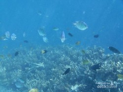 Libur Panjang yang Tenang di Pulau Bira