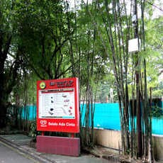 Pemangkasan Pohon Bambu di Depan Kandang Merak Ini Berakibat Fatal