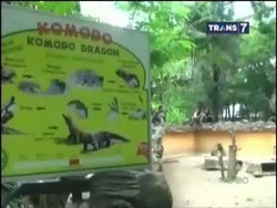 Lagi, 2 Hewan KBS Mati Misterius