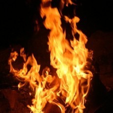 Curi Sapi Milik Geng Kriminal, 4 Pria India Tewas Dibakar