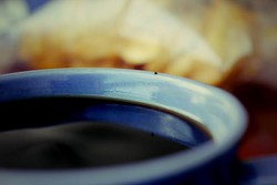 Aaah... Nikmatnya Kopi Luwak di Aek Ranget Parapat!